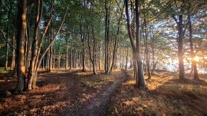 Radreise Dänemark 2025 #392, Fyn, Sjælland, Møn, Lolland, Langeland, Ærø, August 2025